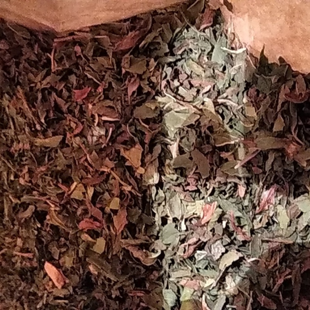 Peppermint - Picture 3 of 3